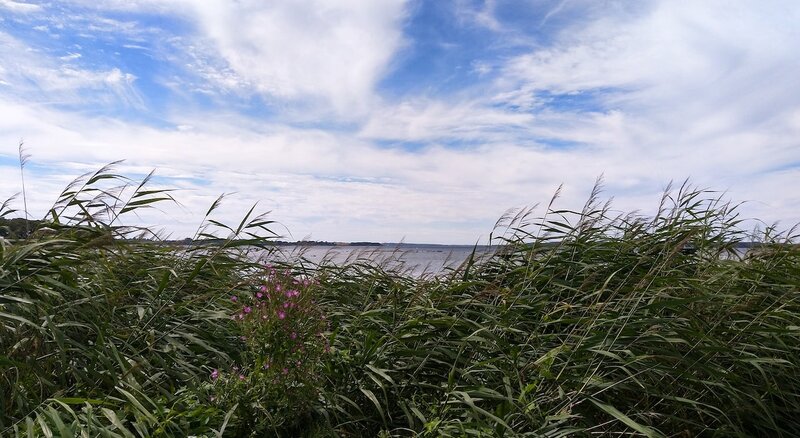 Orø