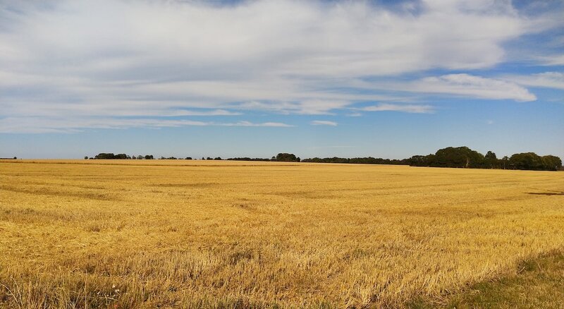 Orø