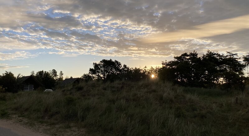 Sonnenaufgang in Råbjerg Mile | © Andreas Kugler